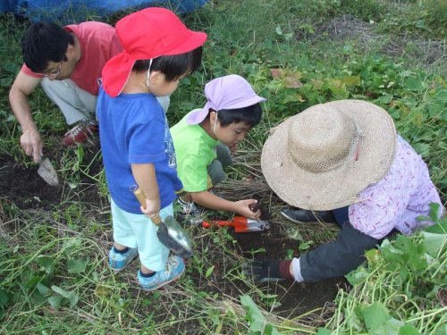 芋掘りしました。　　9月２８日営業中！！