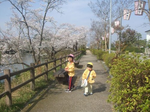 4月２０日土曜日　　晴れ　気温は低いです　　本日LIFE～朝日放送９時３０～！