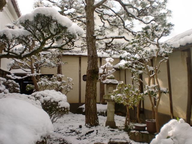 画像: 雪です！　２月１１日～１２日のケーキ